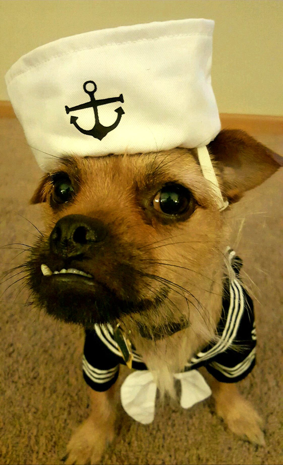 Sailor